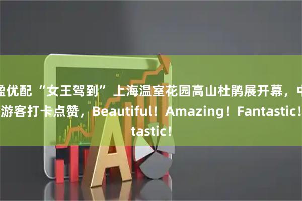 启盈优配 “女王驾到” 上海温室花园高山杜鹃展开幕，中外游客打卡点赞，Beautiful！Amazing！Fantastic！