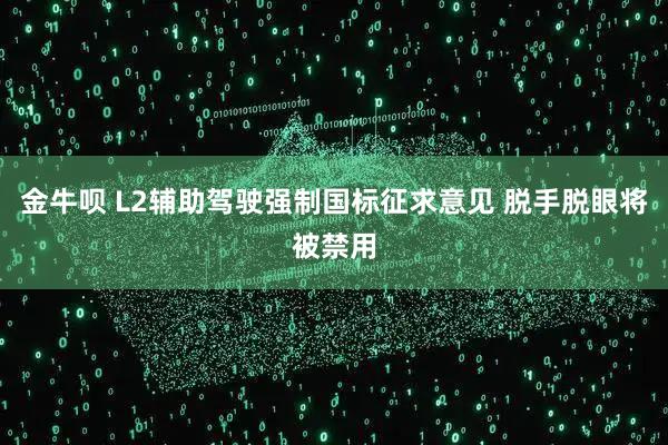 金牛呗 L2辅助驾驶强制国标征求意见 脱手脱眼将被禁用