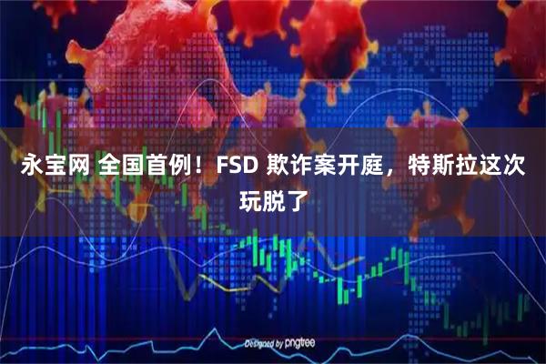 永宝网 全国首例！FSD 欺诈案开庭，特斯拉这次玩脱了