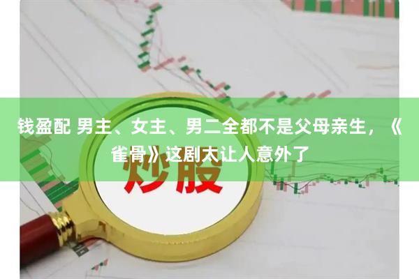 钱盈配 男主、女主、男二全都不是父母亲生，《雀骨》这剧太让人意外了