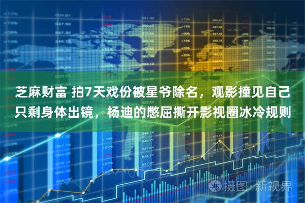 芝麻财富 拍7天戏份被星爷除名，观影撞见自己只剩身体出镜，杨迪的憋屈撕开影视圈冰冷规则