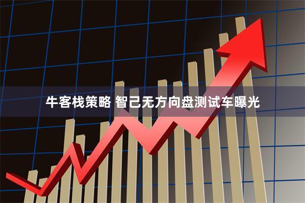 牛客栈策略 智己无方向盘测试车曝光